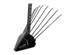 Burgonya eke KS PP4, image 1